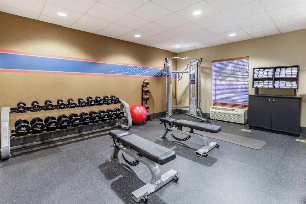 Hampton Inn By Hilton & Suites Chicago-Libertyville image 9